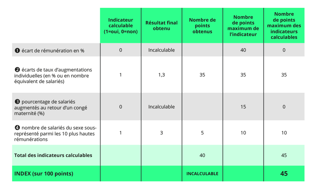 calcul index égalité femmes-hommes 2024
